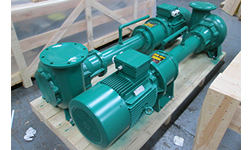 Seawater Containing Fish Waste at Fishery - Immersion Pump & Vortex Impeller
