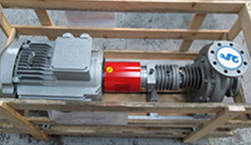 Thermal Oil Pumps for a Wood Treatment Facility