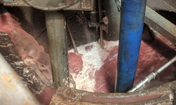 Abrasive Waste at Chicken Factory - Vertical Immersion Pump & Vortex Impeller