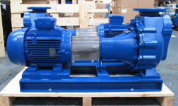 Sea Water Injection - Long Coupled Self Priming Centrifugal Pumps